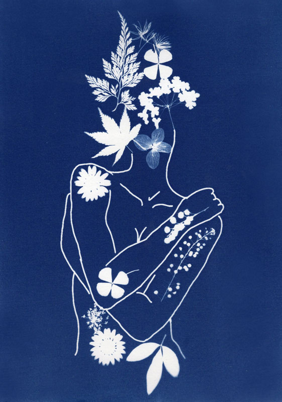 Cyanotype fleurs et fougères