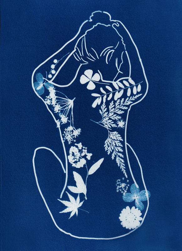 Cyanotype botaniques fougères