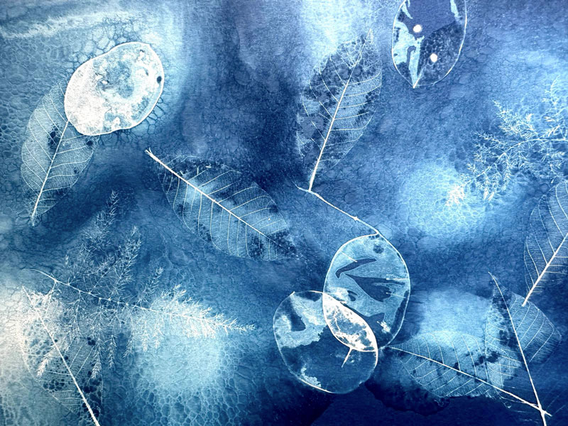 Cyanotype portrait féminin