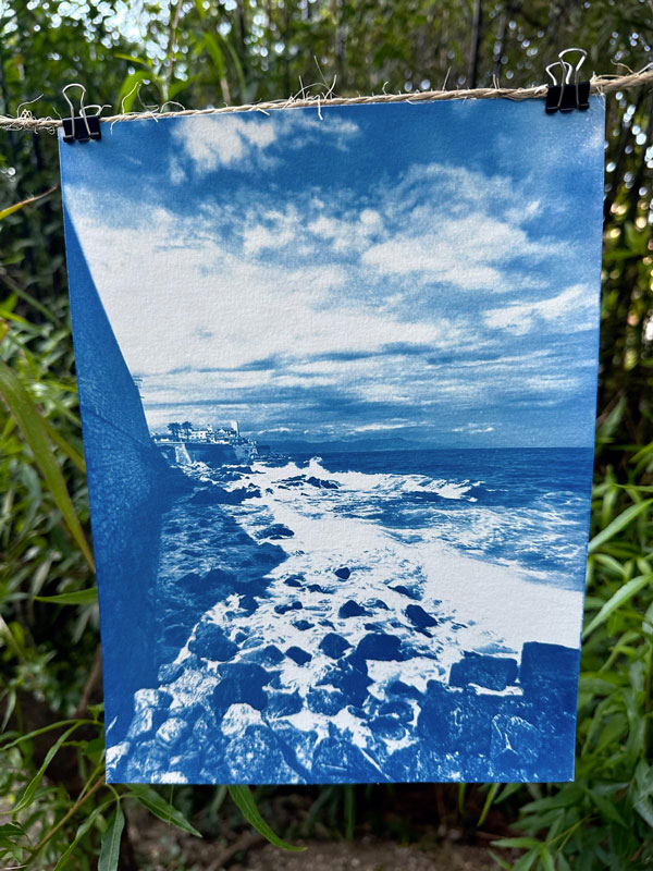 Cyanotype feuilles et soleil
