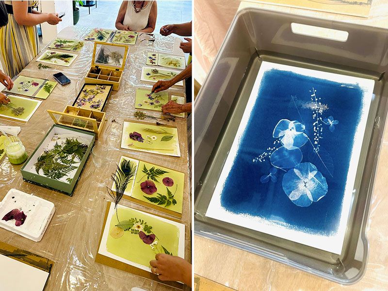 Atelier cyanotype sur la Côte d'Azur